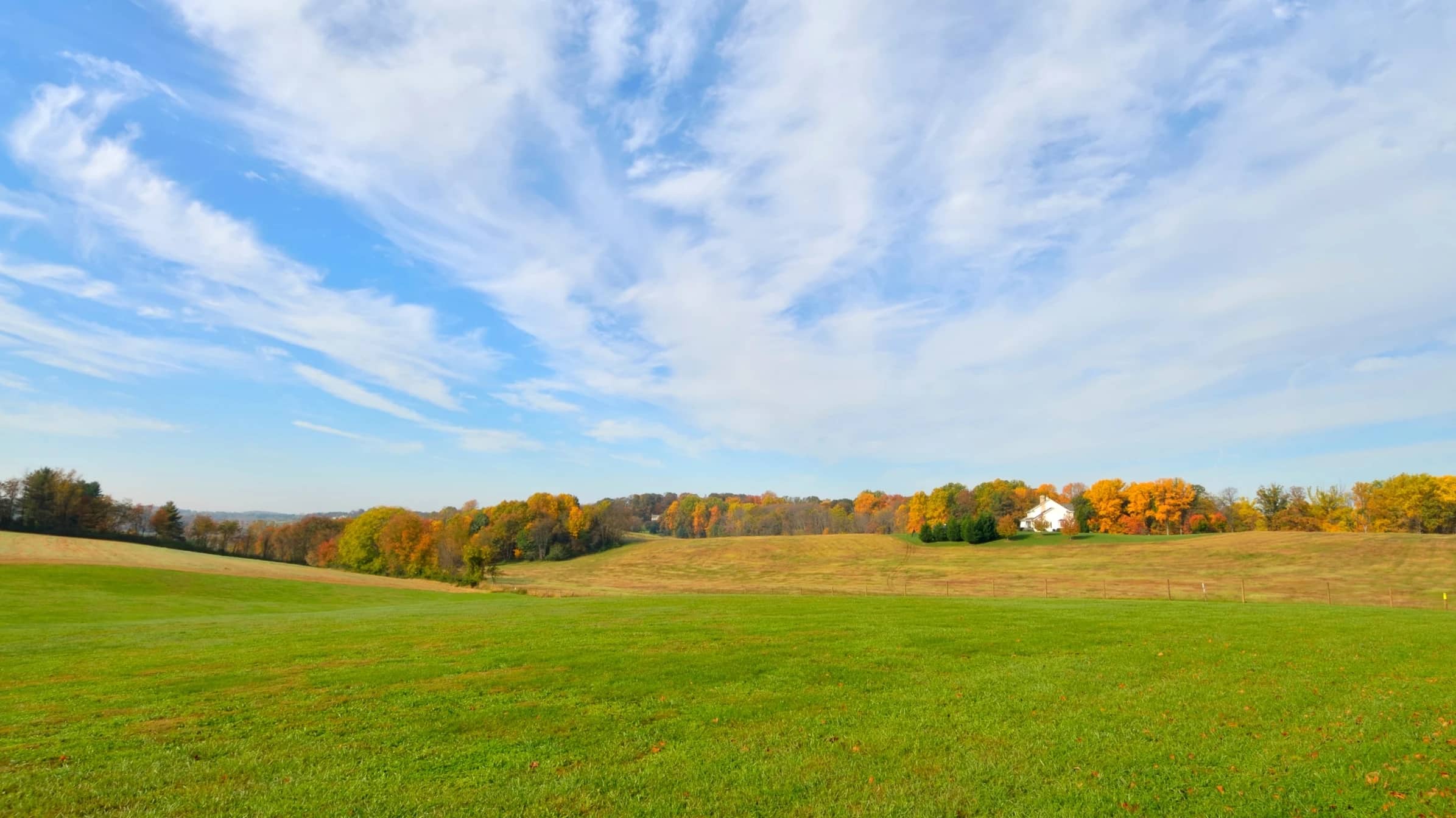 Open rolling pasture with scattered trees turning color on a Virginia hillside