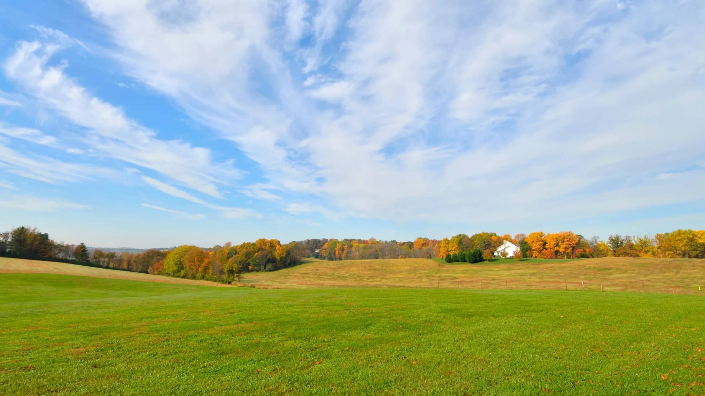 Open rolling pasture with scattered trees turning color on a Virginia hillside
