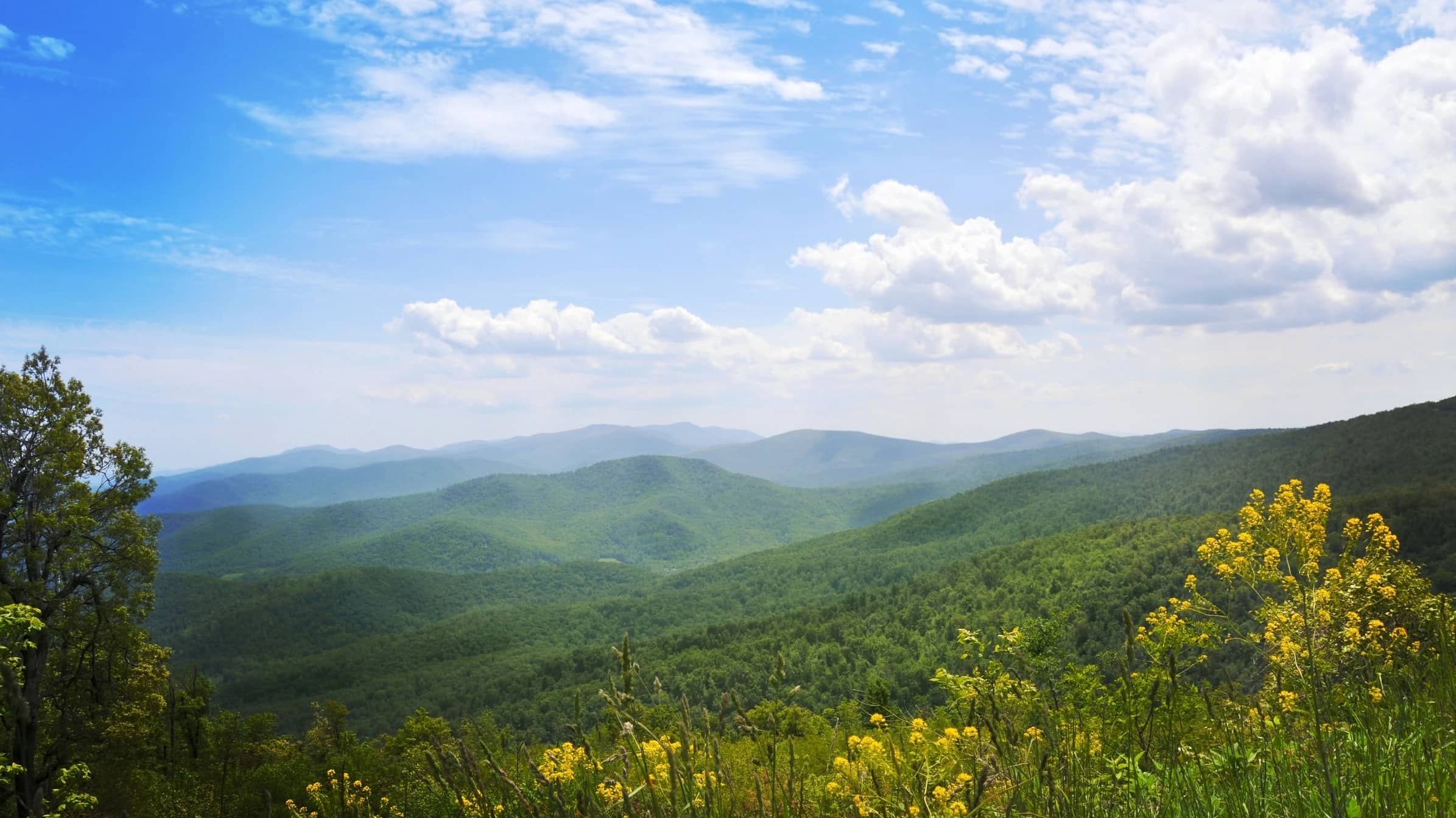 Green Blue Ridge hills under a summer sky along Skyline Drive