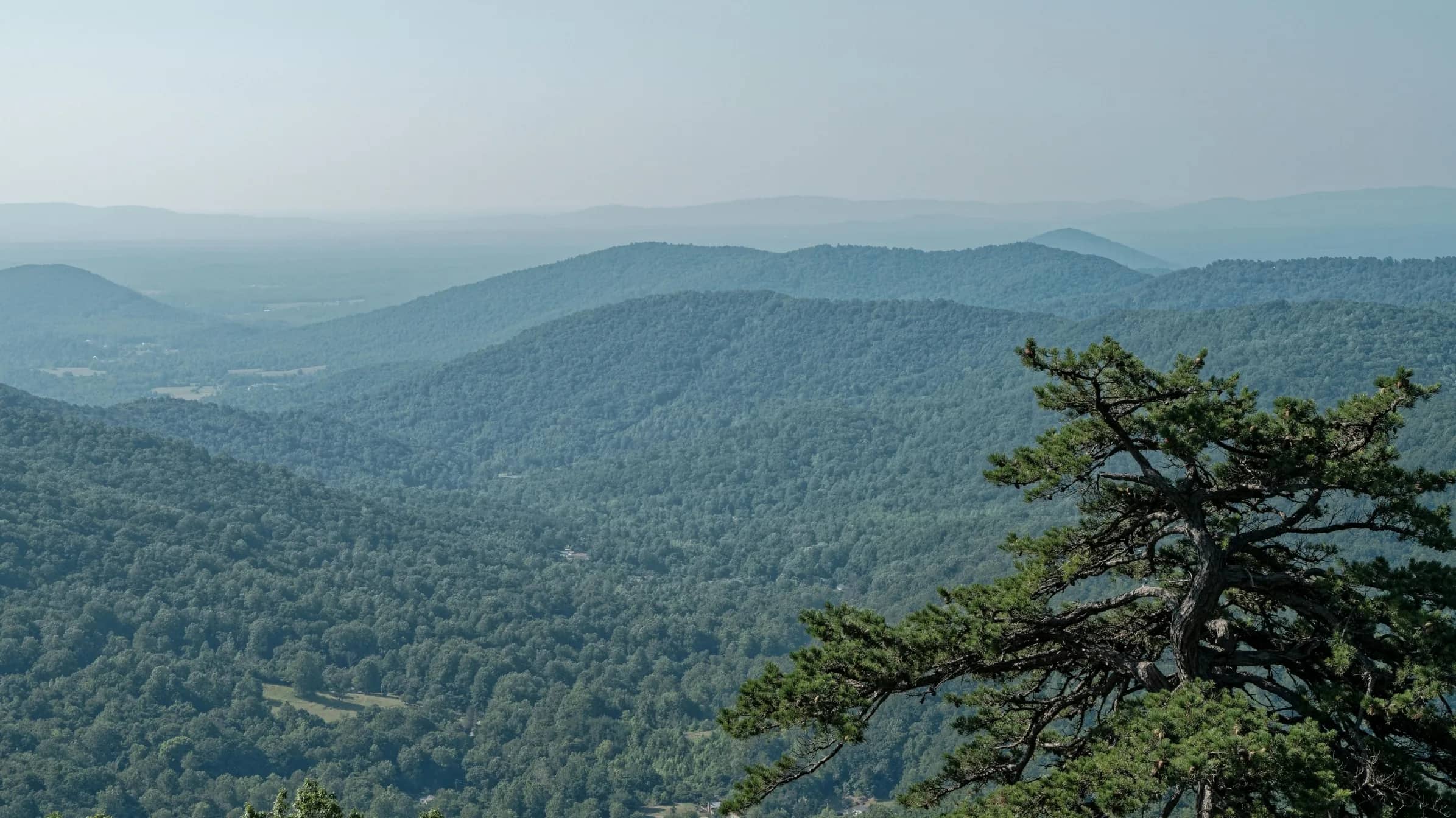Layered blue ridges of Shenandoah National Park in soft haze